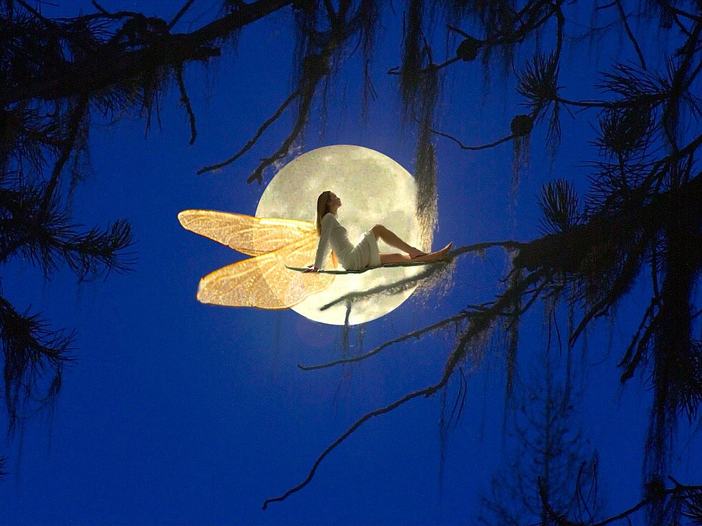 Fairytale Moon